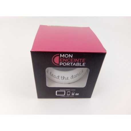 Enceinte Portable